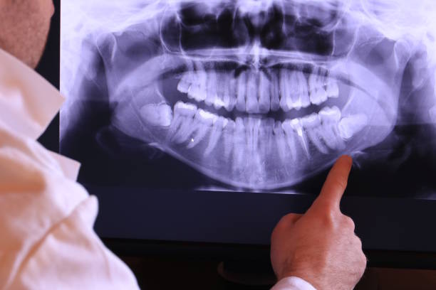Best Emergency X-Rays and Diagnostics in Darien, WI